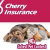 Cherry Insurance Cutest Pet Contest