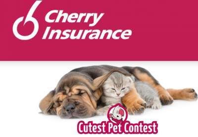 Cherry Insurance Cutest Pet Contest